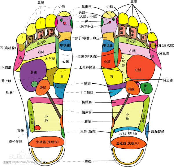 腳底-4